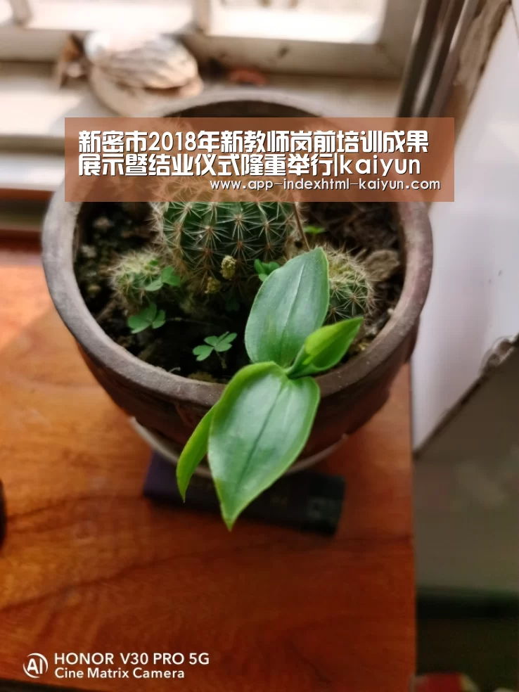 新密市2018年新教师岗前培训成果展示暨结业仪式隆重举行|kaiyun(图1) 开云