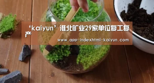 ‘kaiyun’淮北矿业29家单位复工复产(图3)