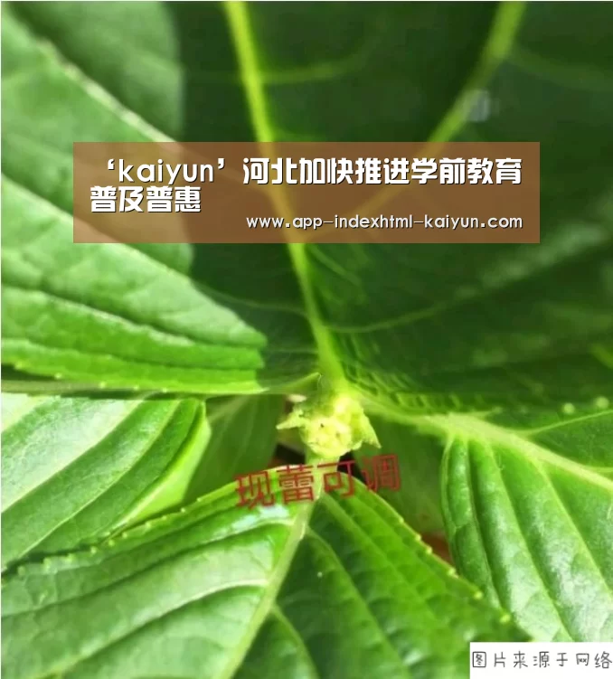 ‘kaiyun’河北加快推进学前教育普及普惠(图4) 开云