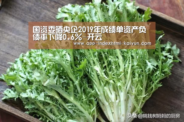 国资委晒央企2019年成绩单资产负债率下降0.6%-开云(图2) 国资委晒央企2019年成绩单资产负债率下降0.6%-开云(图2)