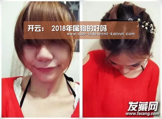 开云:
2018年属狗的好吗(图2) 开云