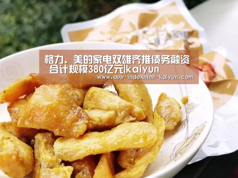 格力、美的家电双雄齐推债务融资 合计规模380亿元|kaiyun(图2) 格力、美的家电双雄齐推债务融资 合计规模380亿元|kaiyun(图2)